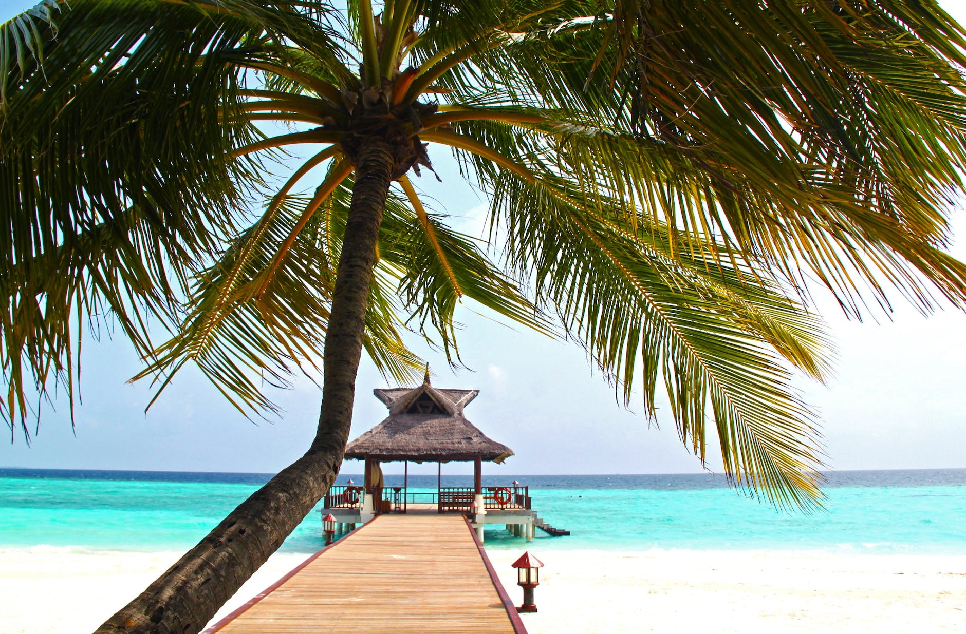 Tourism in Asia and the Pacific Still Low