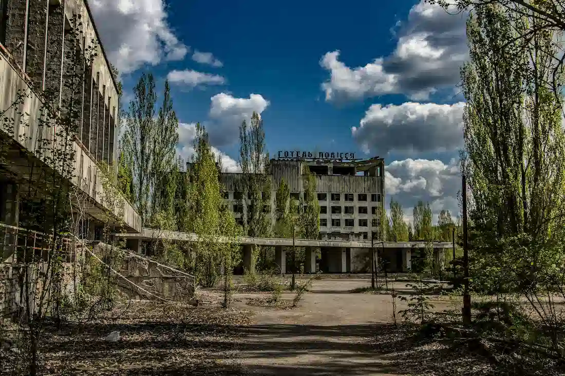 Wolves living near Chernobyl seem to fight cancer