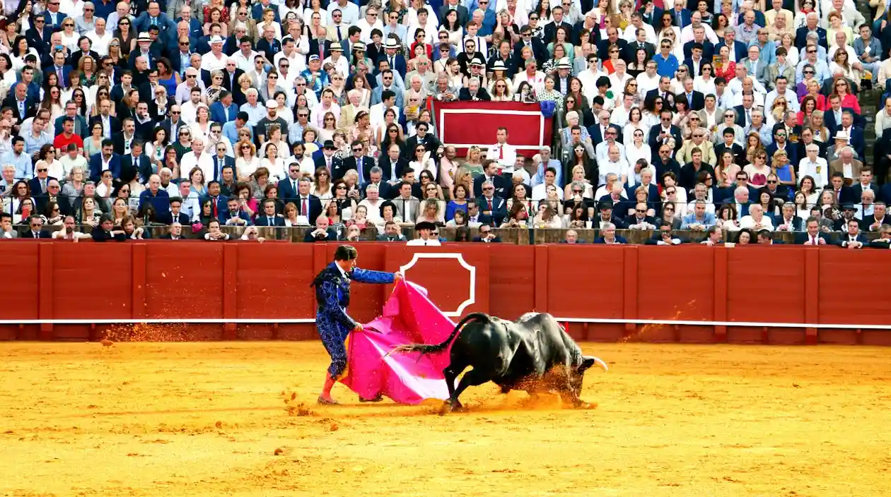 Colombia bans bullfighting - only 7 countries still allow it