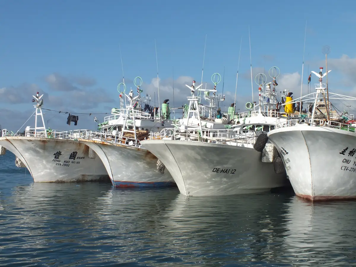 Hundreds of Chinese ships fishing near Argentina